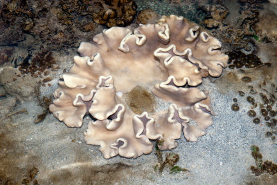 DSC_4048.jpg