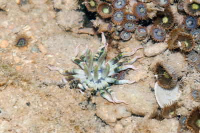 DSC_4054.jpg