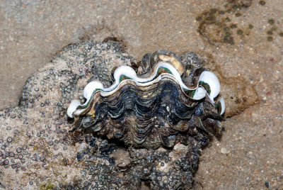 DSC_4056.jpg