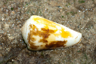 DSC_4057.jpg