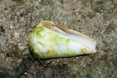 DSC_4058.jpg