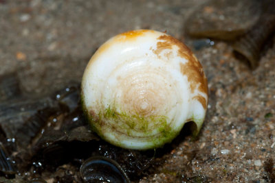 DSC_4062.jpg