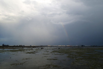 P5314404.jpg