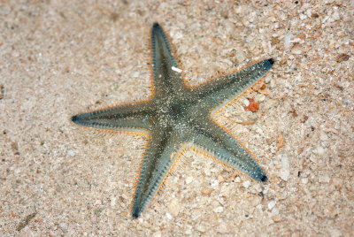 DSC_4116.jpg