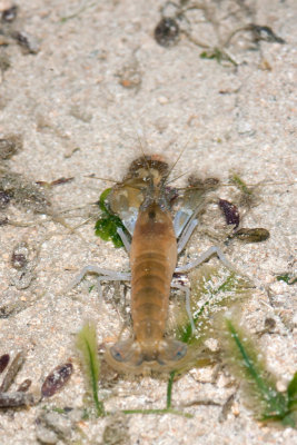 DSC_4117.jpg