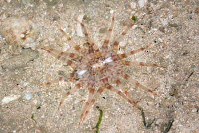 DSC_4118.jpg