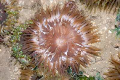 DSC_4121.jpg