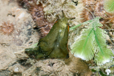 DSC_4123.jpg
