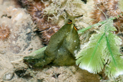 DSC_4124.jpg