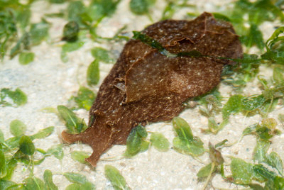 DSC_4138.jpg