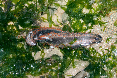 DSC_4146.jpg