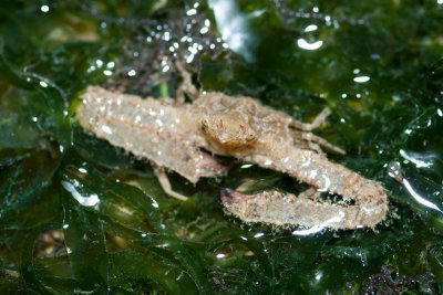 DSC_4147.jpg