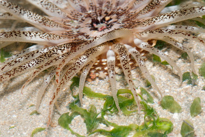 DSC_4163.jpg