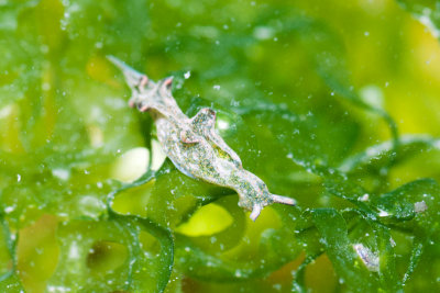 DSC_4174.jpg