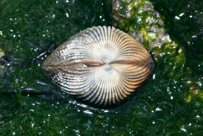 DSC_4179.jpg