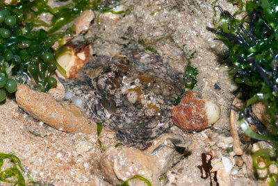 DSC_4203.jpg