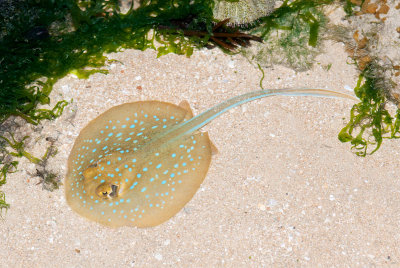 DSC_4207.jpg