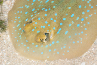 DSC_4209.jpg
