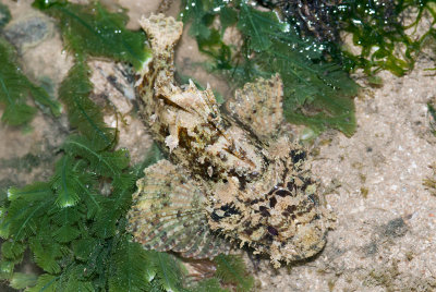 DSC_4220.jpg