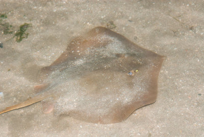 DSC_4225.jpg