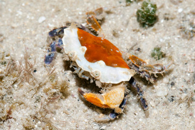 DSC_4267.jpg