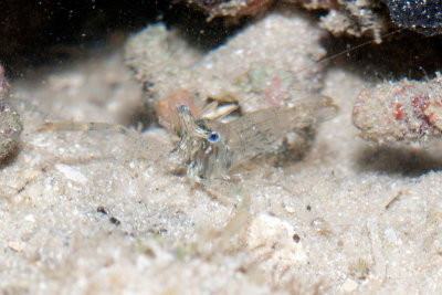 DSC_4273.jpg