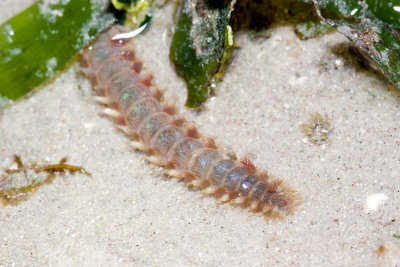 DSC_4279.jpg