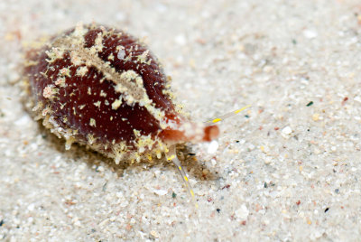 DSC_4291.jpg