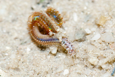DSC_4297.jpg