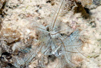 DSC_4336.jpg
