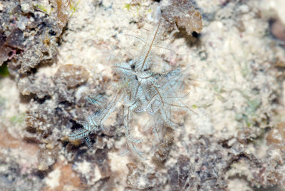 DSC_4337.jpg