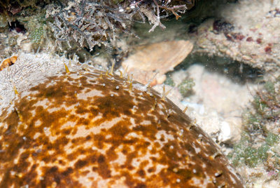 DSC_4339.jpg