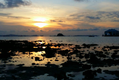 Terumbu Semakau [13 July 2014]