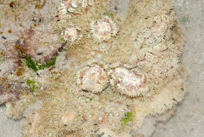 DSC_4345.jpg