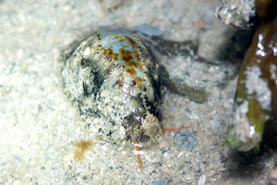 DSC_4347.jpg