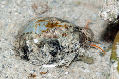DSC_4348.jpg