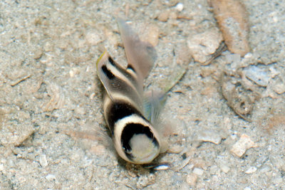 DSC_4355.jpg