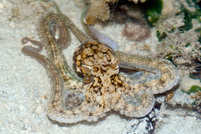 DSC_4358.jpg