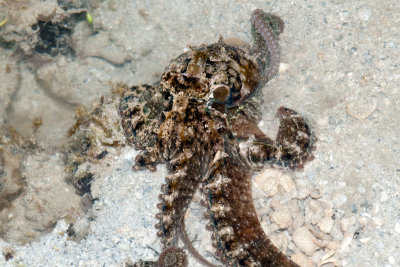 DSC_4360.jpg