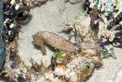 DSC_4372.jpg