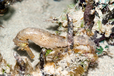 DSC_4374.jpg