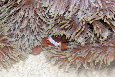 DSC_4379.jpg