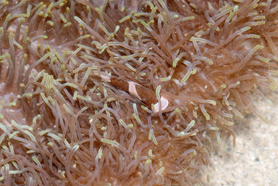 DSC_4384.jpg