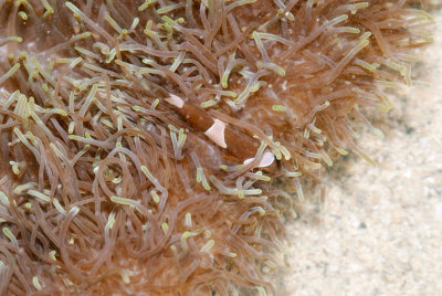 DSC_4385.jpg