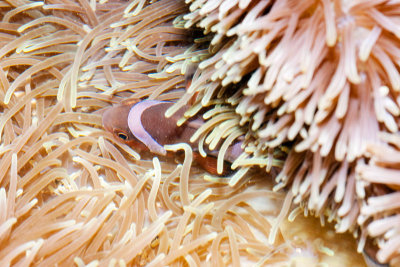 DSC_4393.jpg