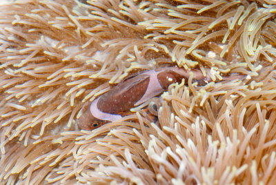 DSC_4396.jpg