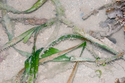 DSC_4408.jpg
