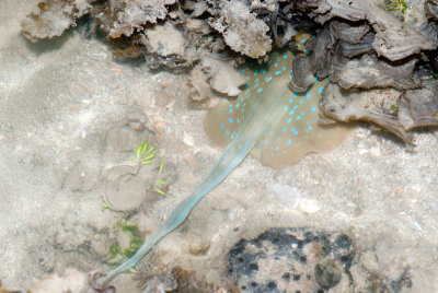 DSC_4410.jpg