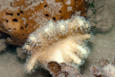 DSC_4413.jpg