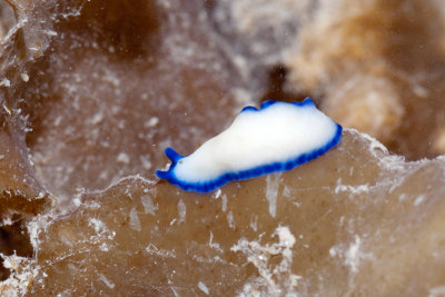 DSC_4418.jpg